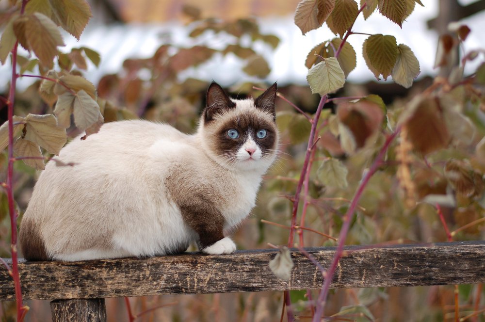 Photograph by Екатерина Иванова