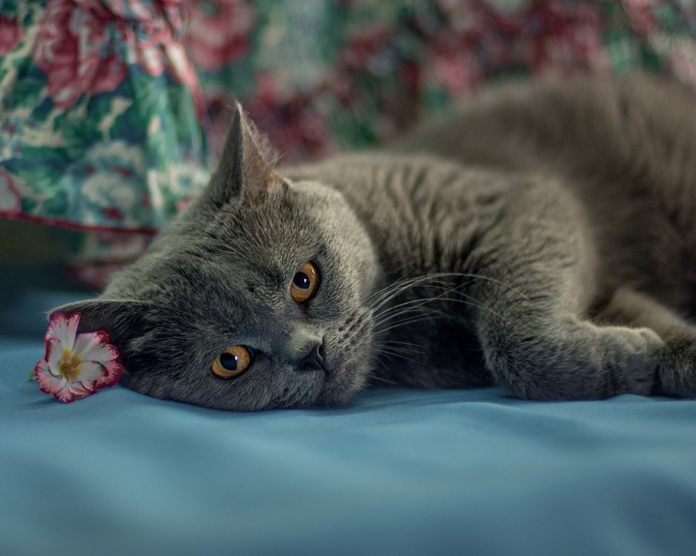 Photograph by Марина Згоник