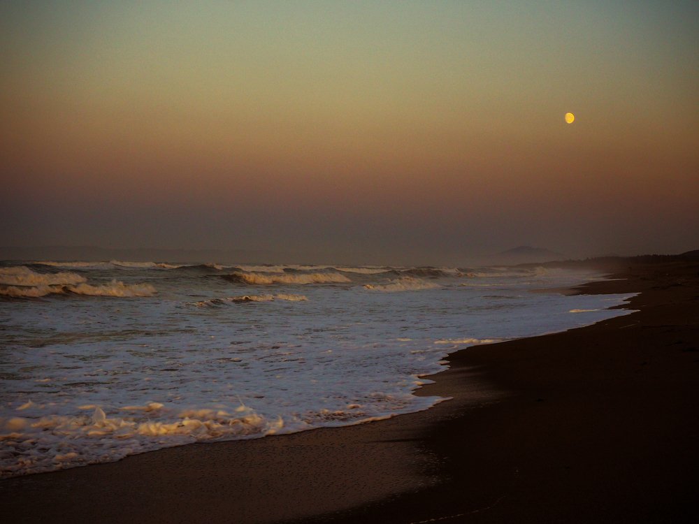 Фотография автора Olena Vorotyntseva