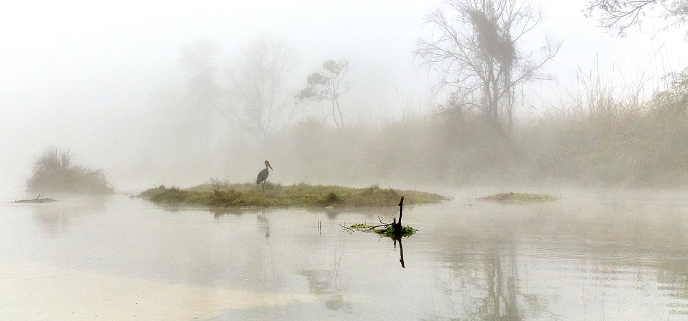 Фотография автора Gılcan Mete Delibay