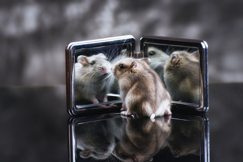 Photograph by Алексей Михайлов