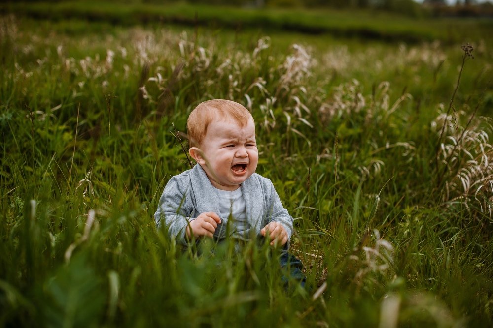 Photograph by Надежда Тенетко