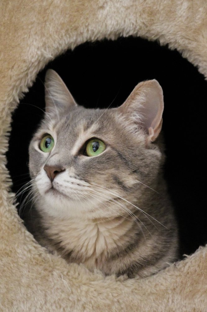 Photograph by Michael