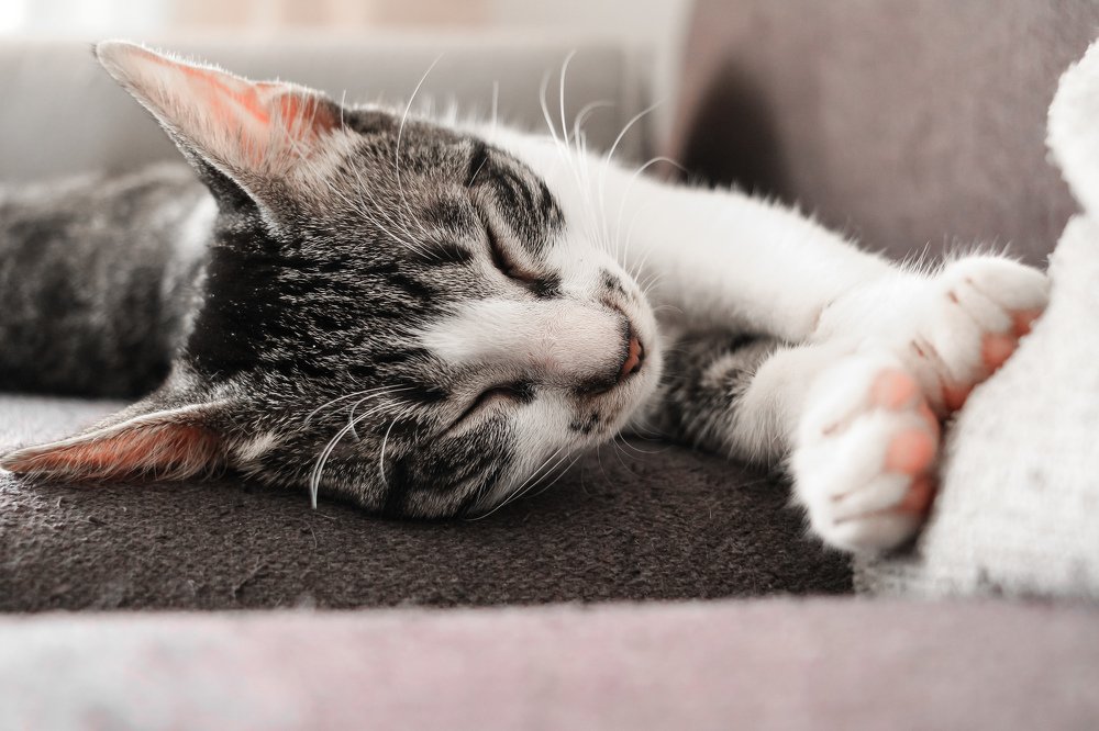 Photograph by Michael