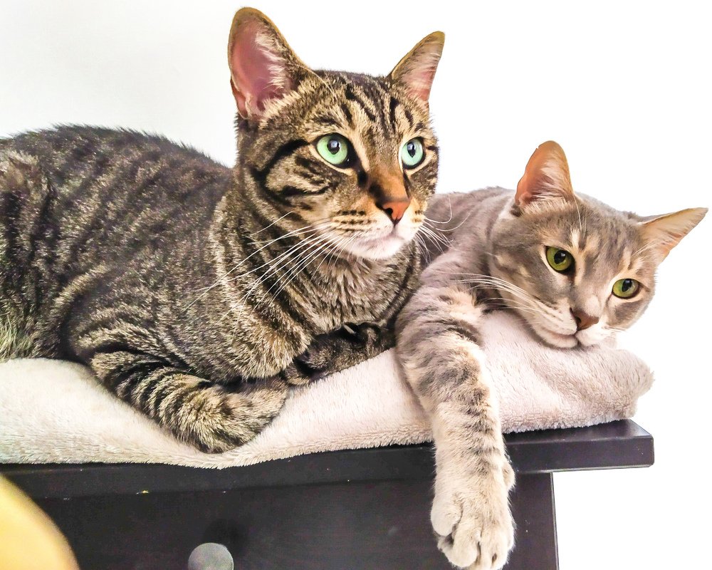 Photograph by Michael