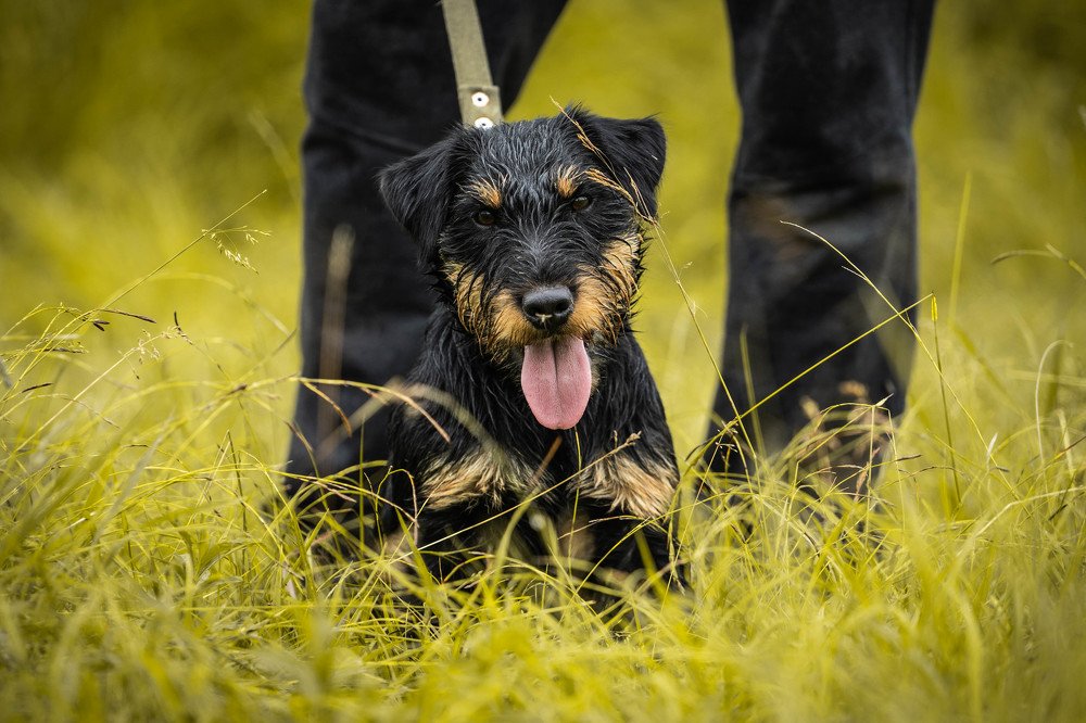 Photograph by Андрей Игнатенко