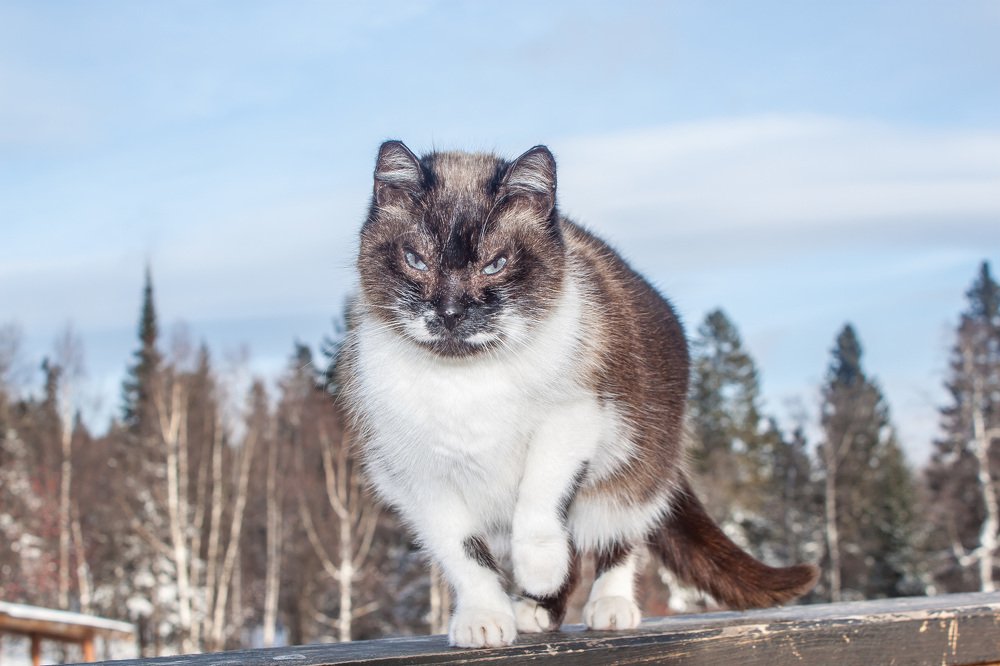 Маня с Таганая