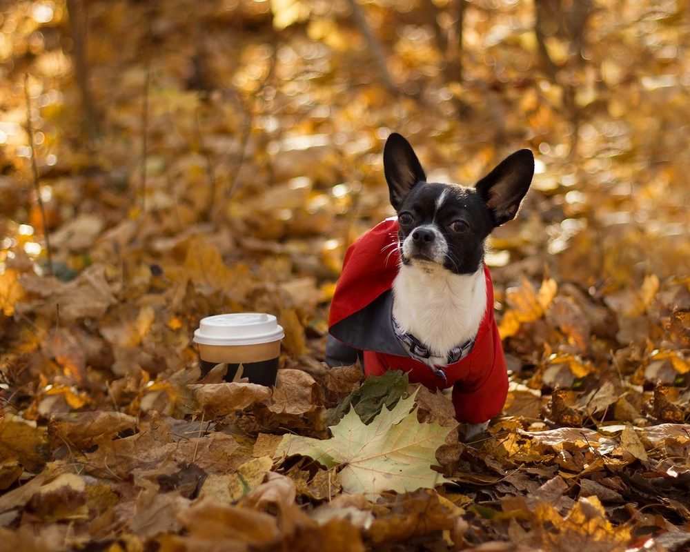 Photograph by Оксана Федулова