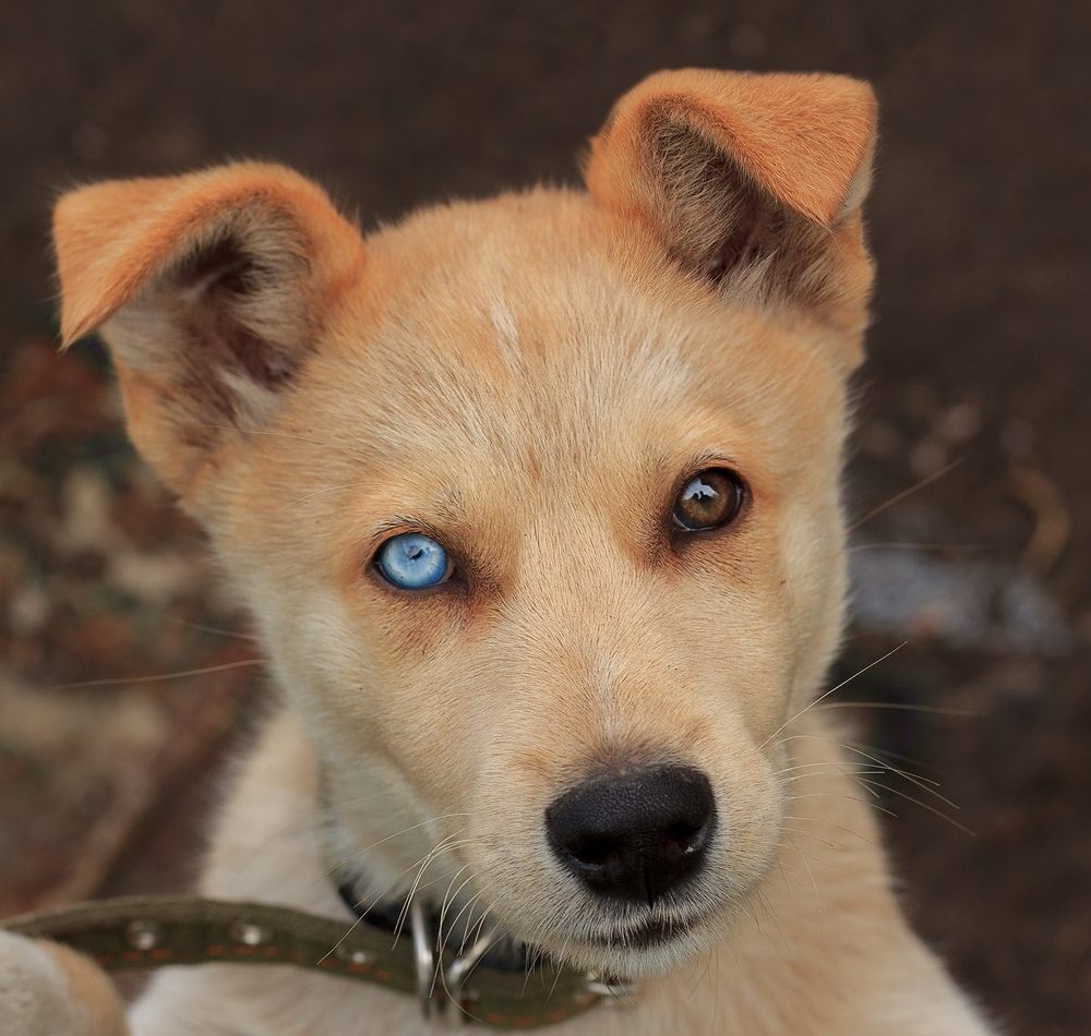 Photograph by Оксана Федулова