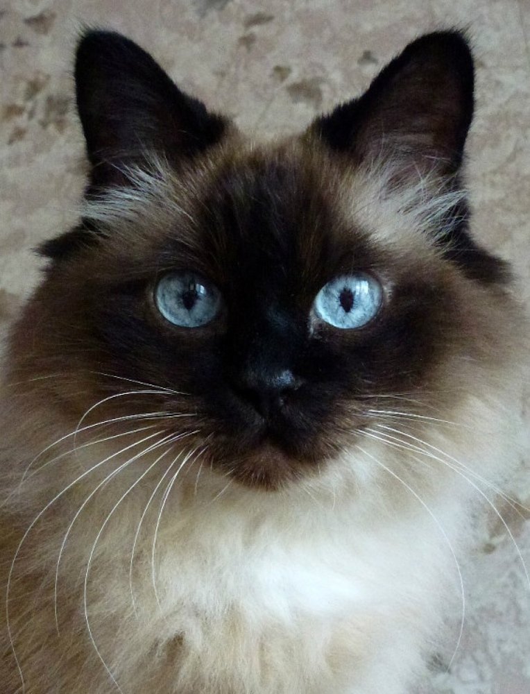 Photograph by Оксана Федулова