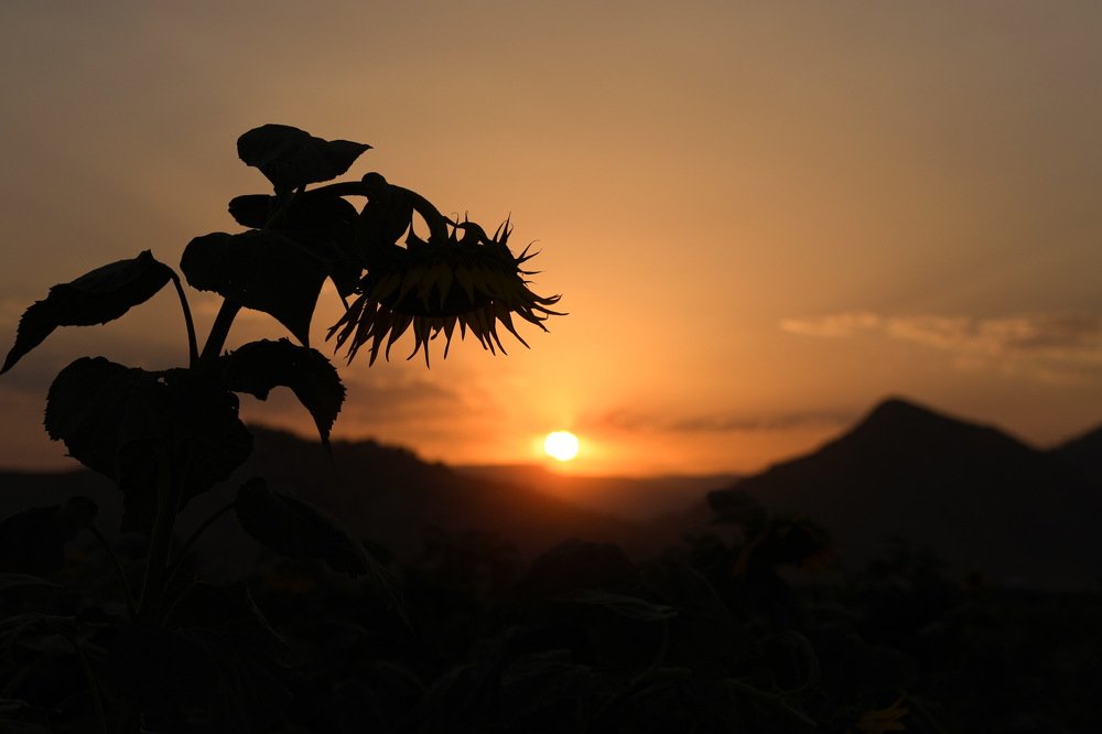 Фотография автора Mohammedamin Abdullah