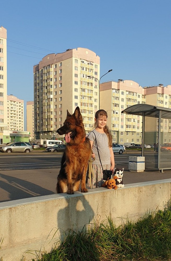 Photograph by Александр Соколов