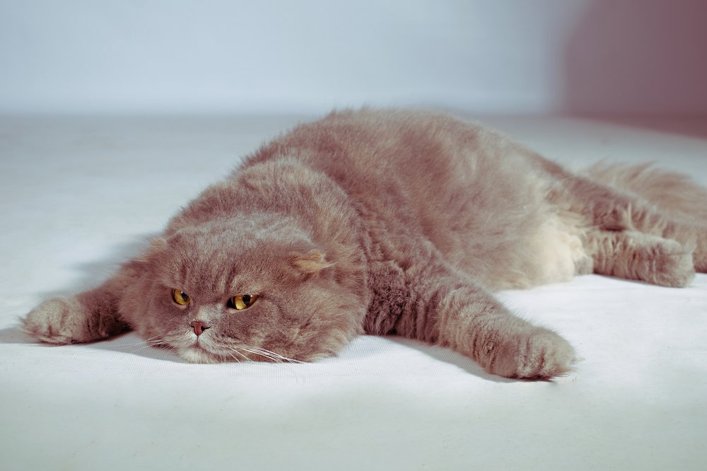 Photograph by Анастасия Безрокова