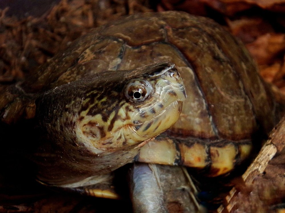 Photograph by Angie Vivanco