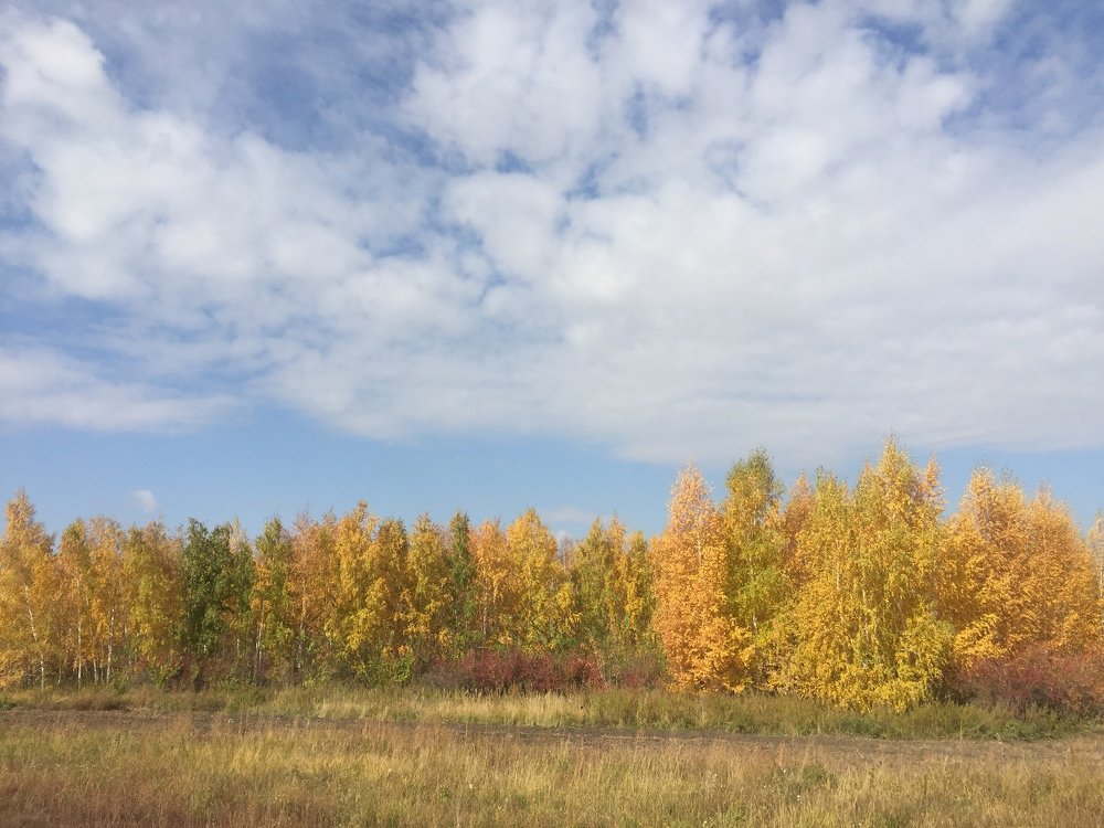 Photograph by  Меруерт