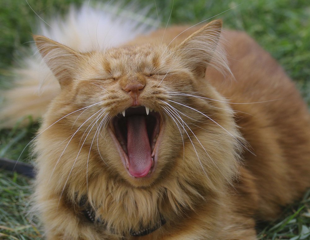 Photograph by Татьяна Панчешная