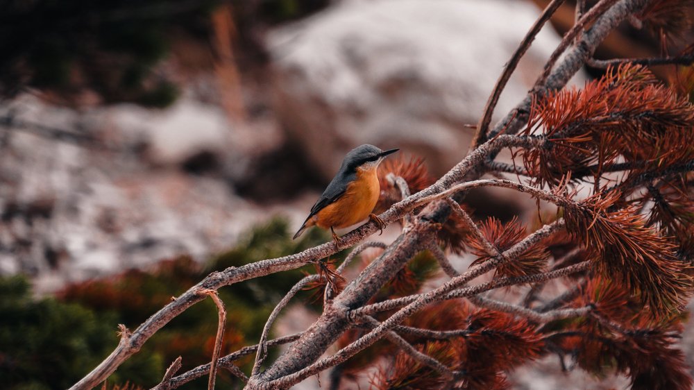 Photograph by Валерия Машкова