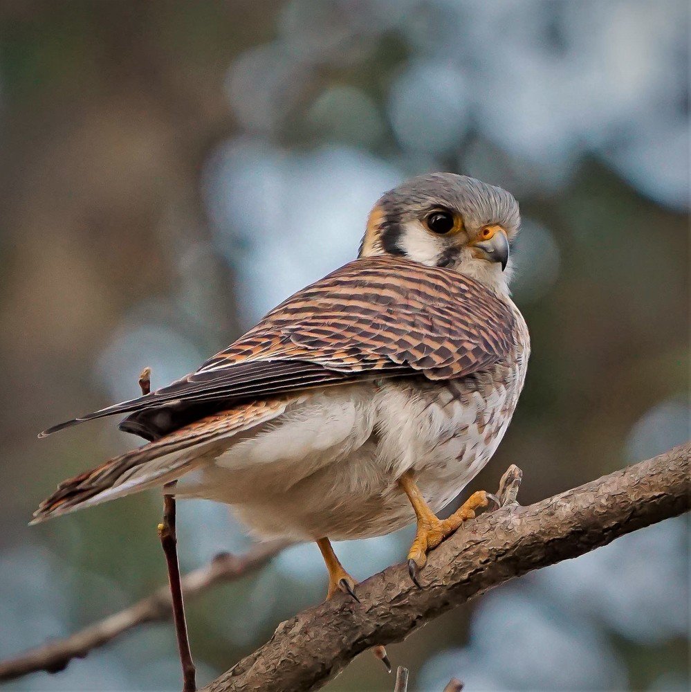 Photograph by Karina Elena Bergagna