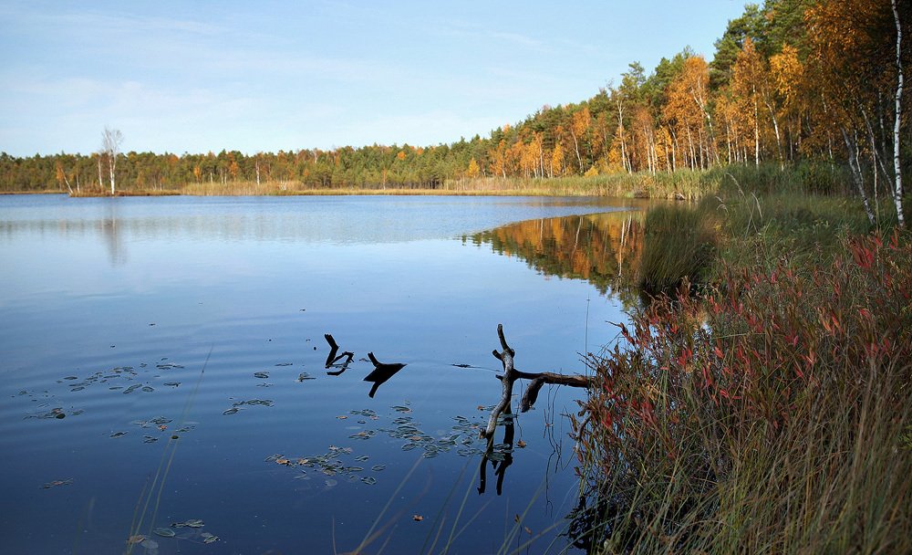 Photograph by Олег Фокин