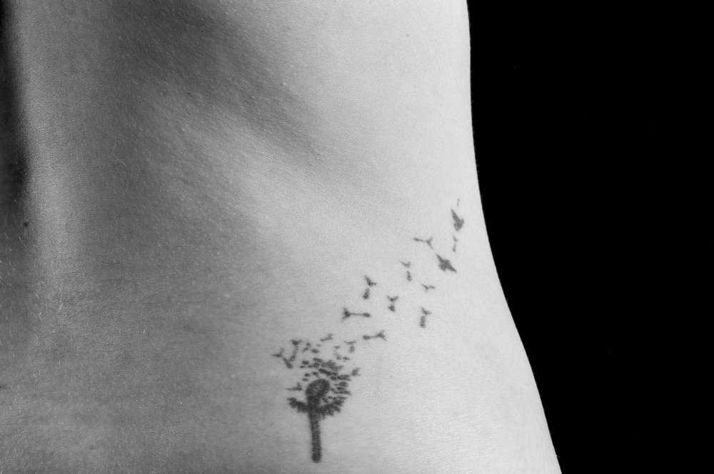 Photograph by Mohamed Kaouche