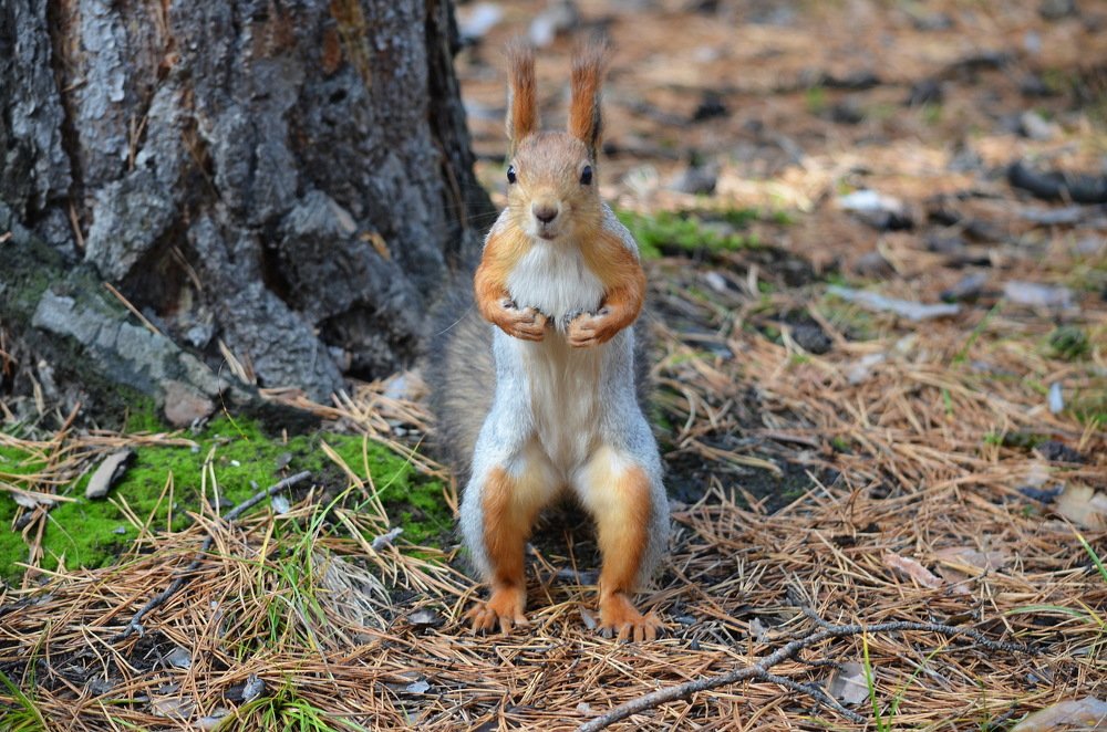А ты занимаешься спортом?