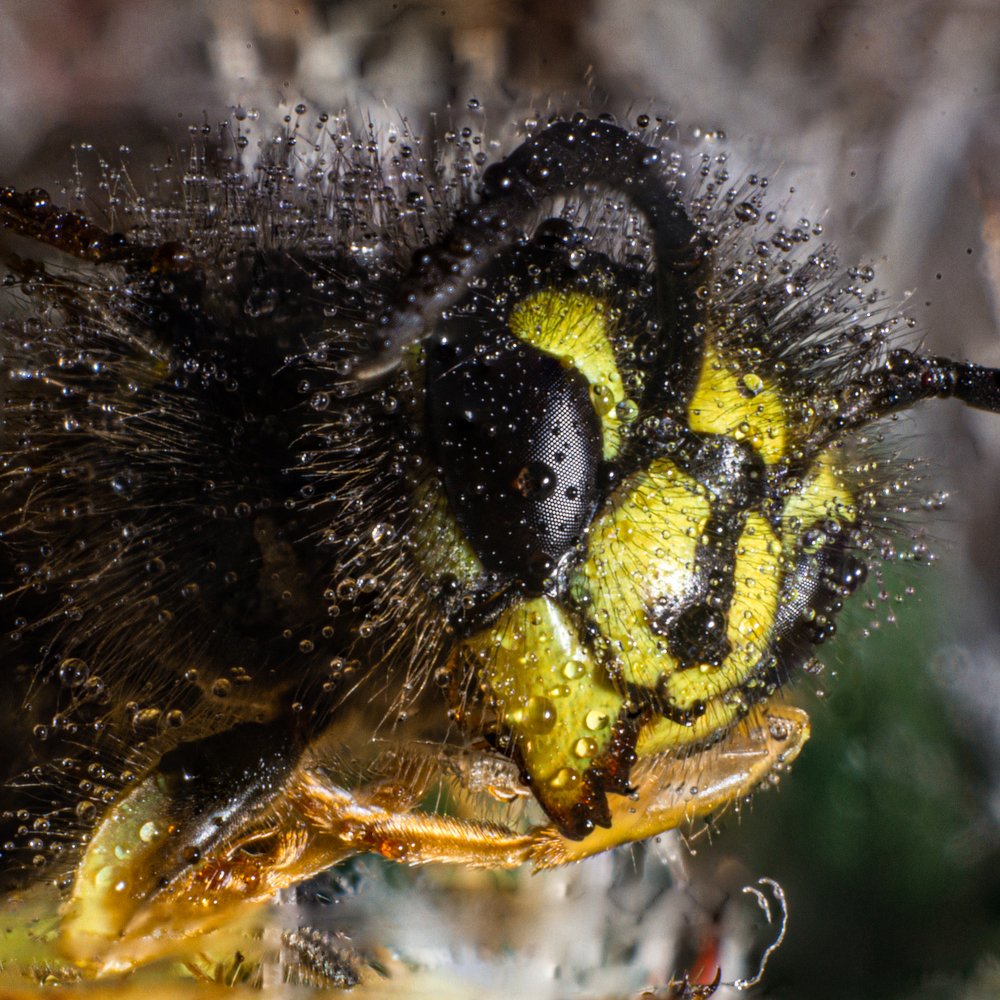 Photograph by Володимир Сорін