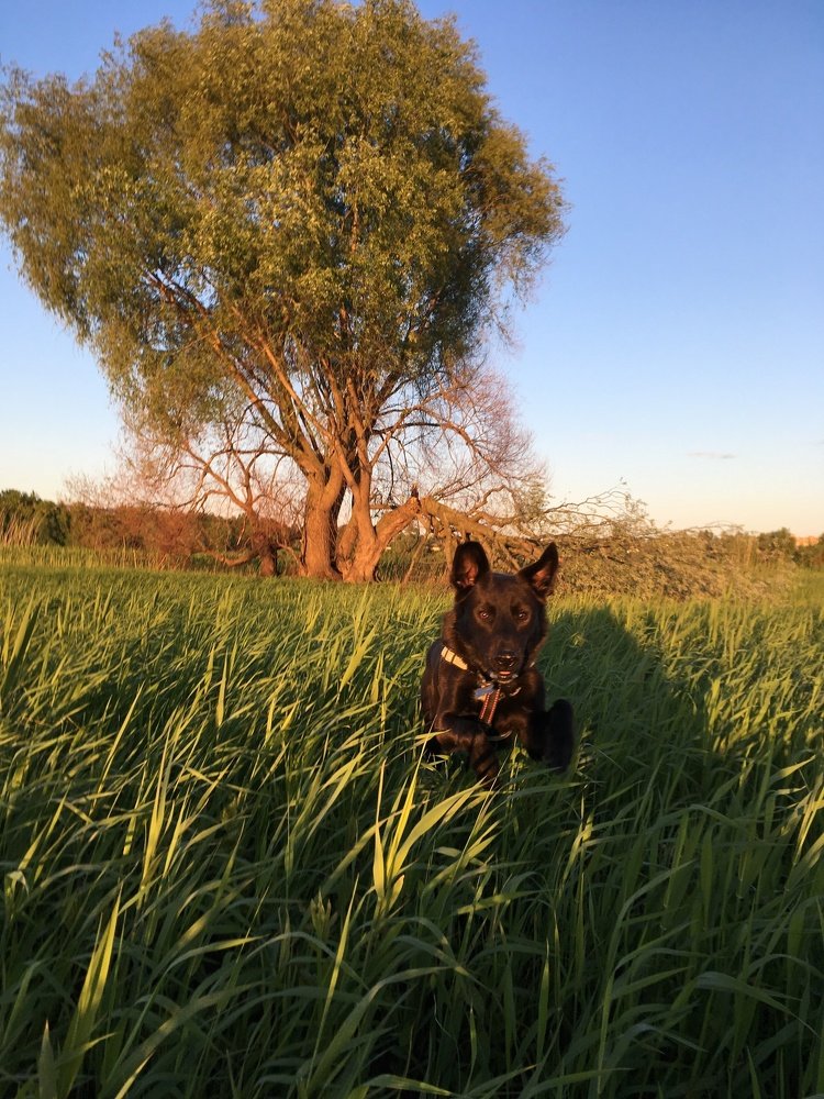 Photograph by Мария Титова