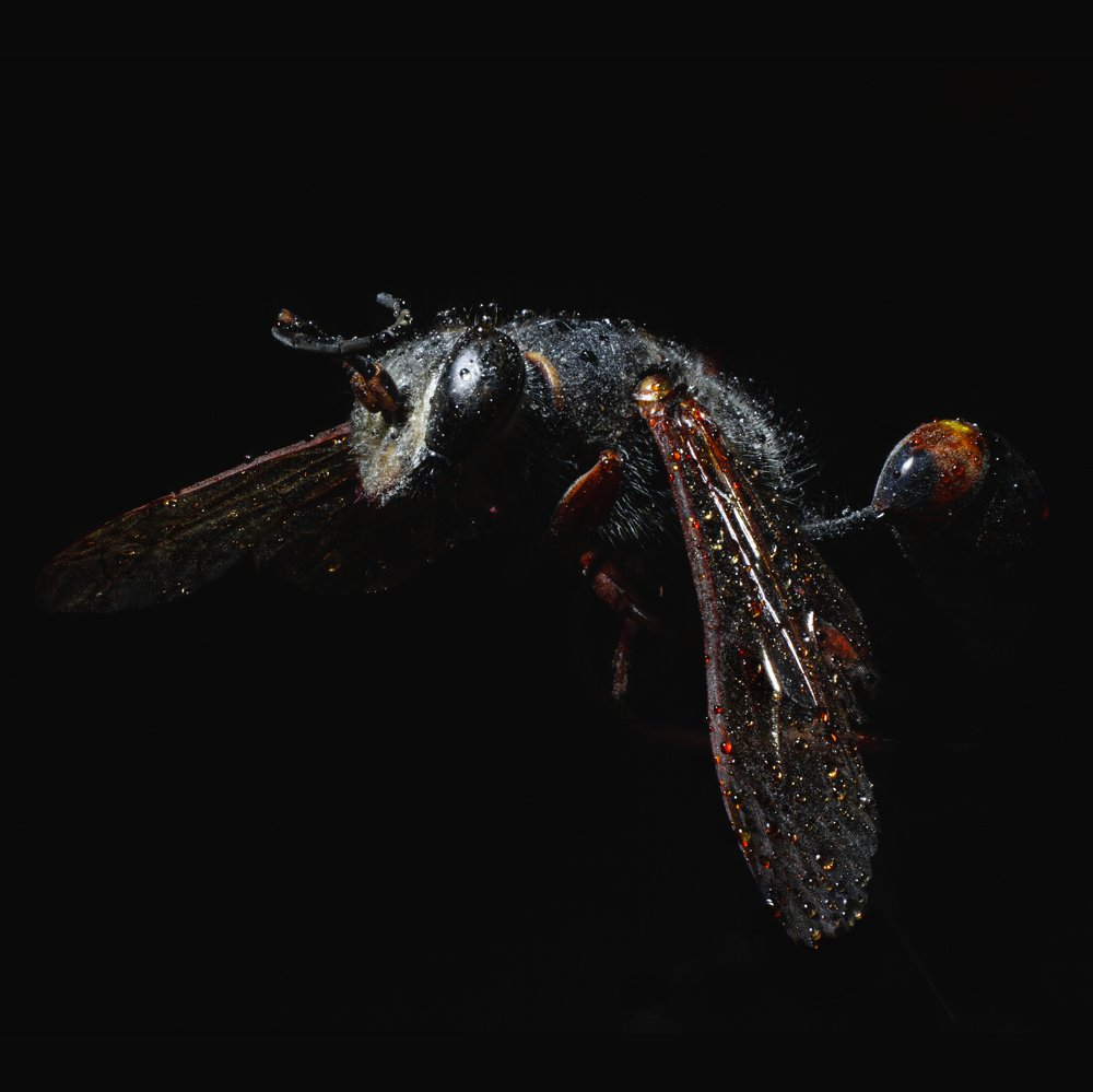 Photograph by Володимир Сорін