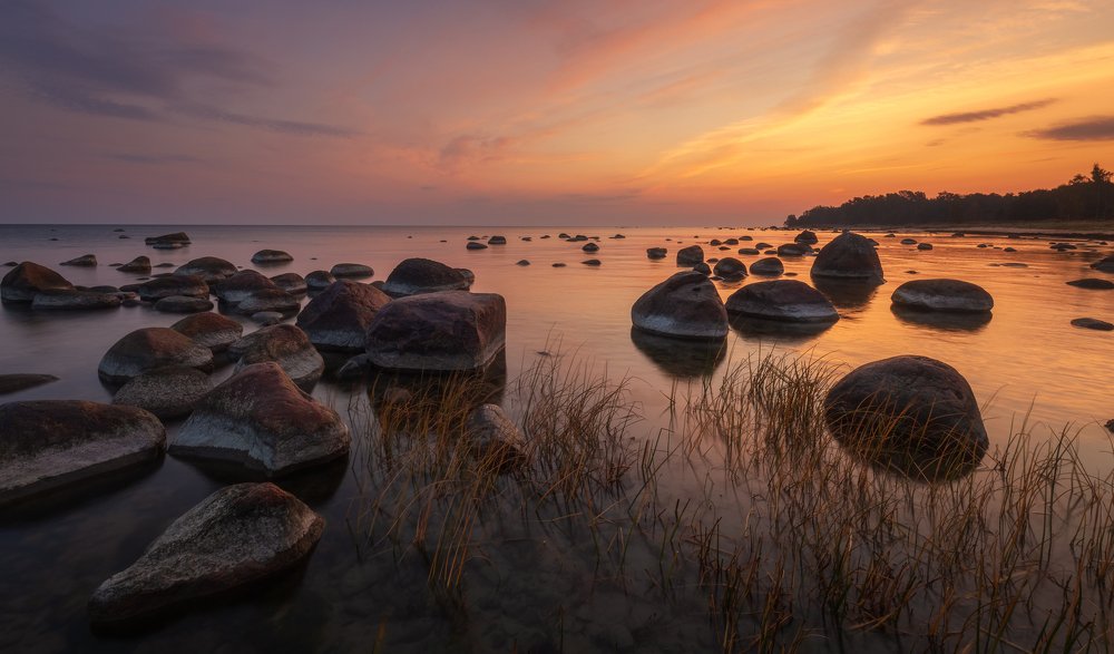 Photograph by Элвис Антсон