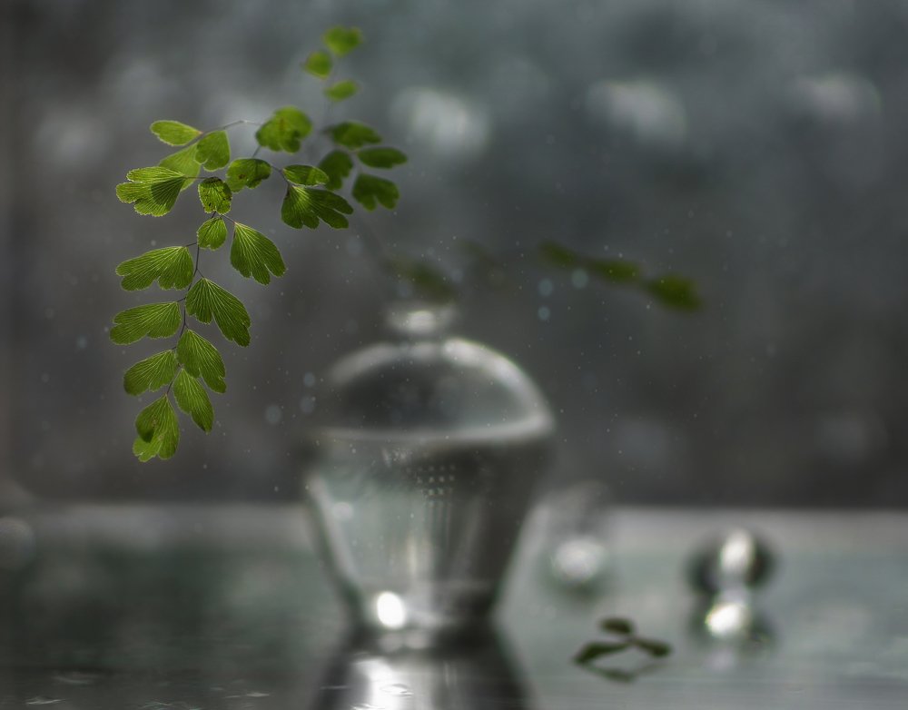 Photograph by Svoboda Andreeva