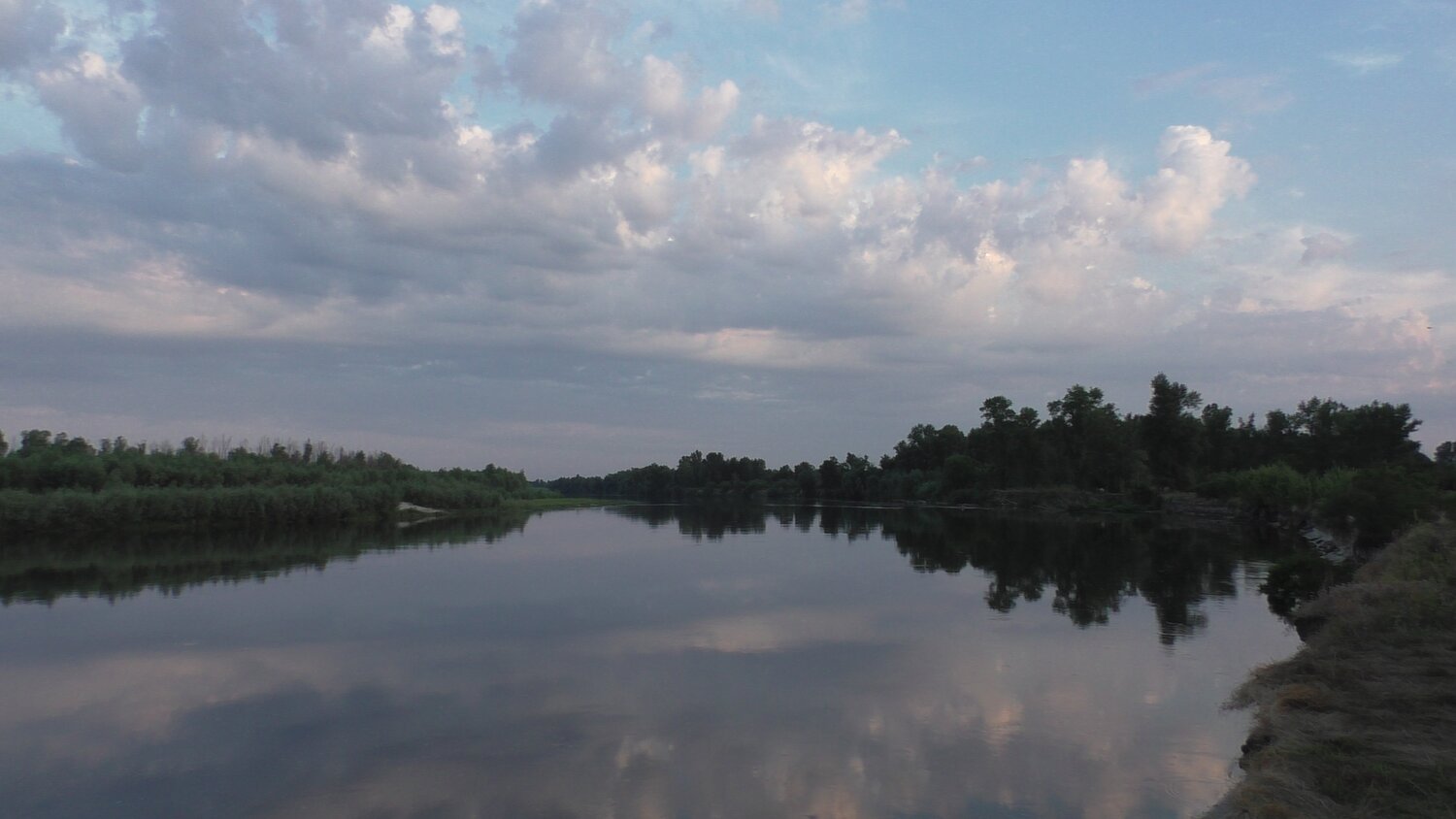 Photo #5004341