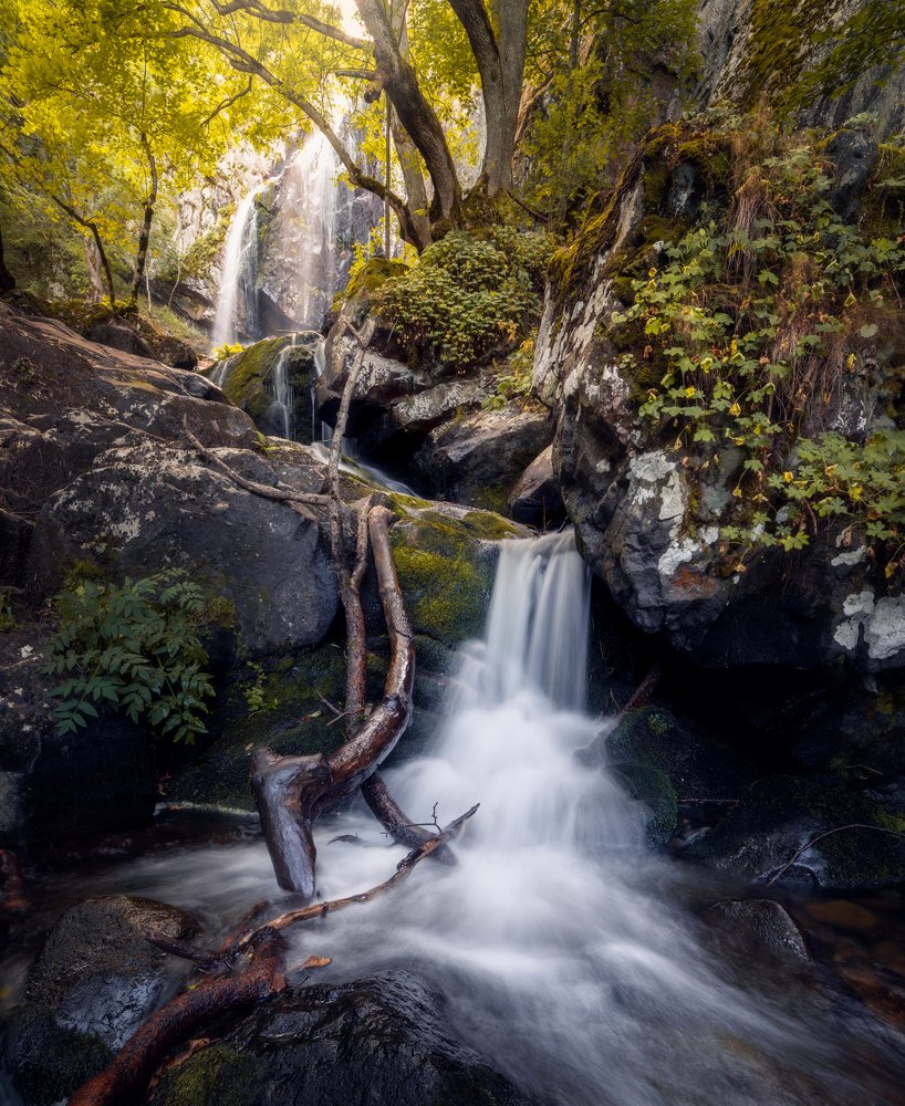 Фотография автора Nikolay Ivanov