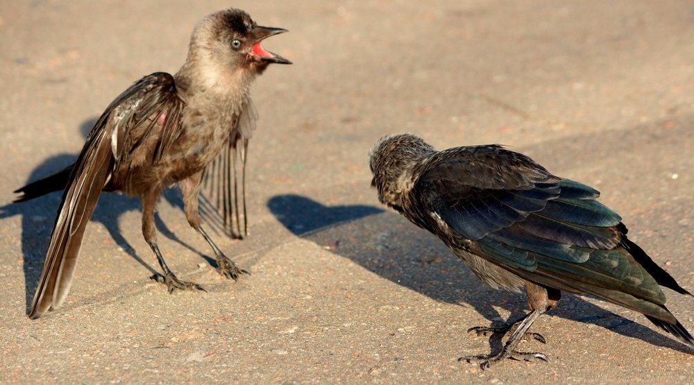 Photograph by Alexander Matschin