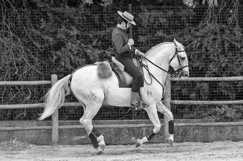 Photograph by António Manuel de Pereira