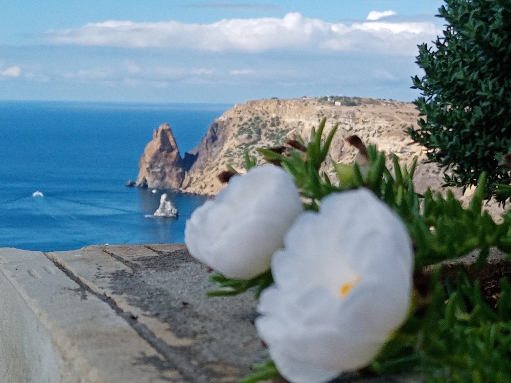 Photograph by Жанна Иванисенко