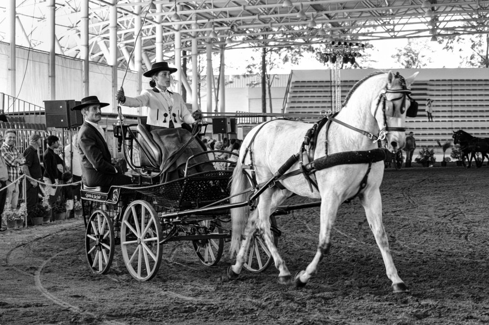 Photograph by António Manuel de Pereira