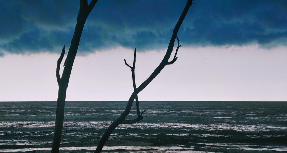 Photograph by Elena Chandran