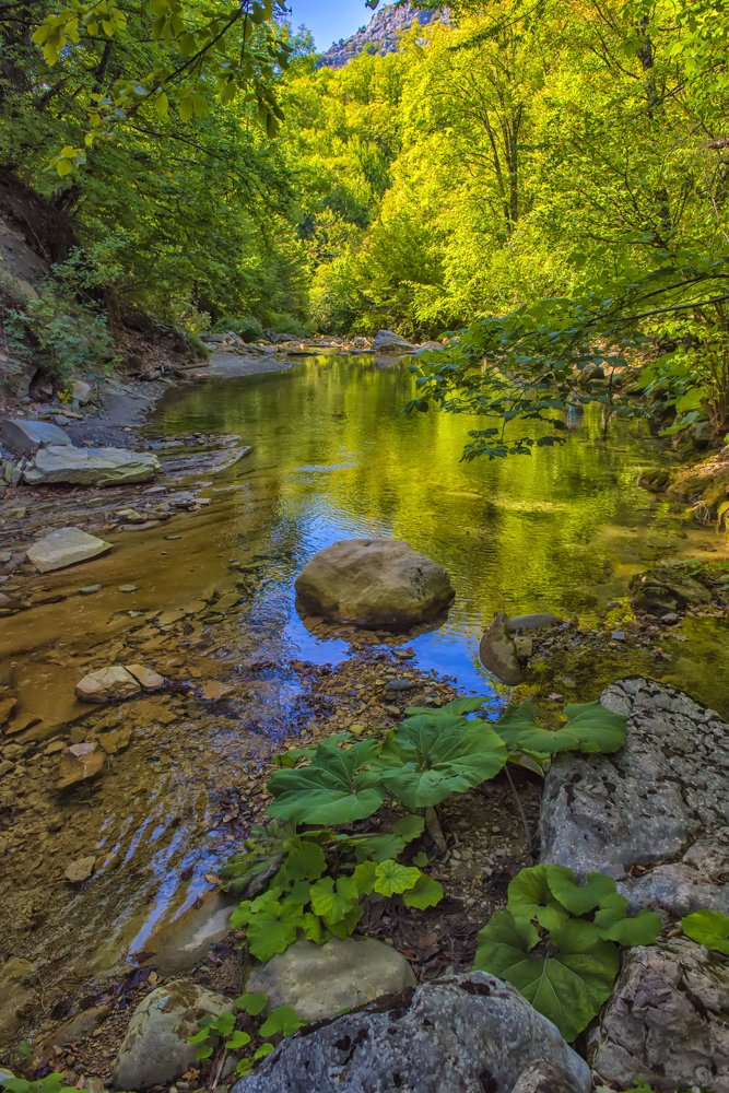 Photograph by Анна Кривицкая