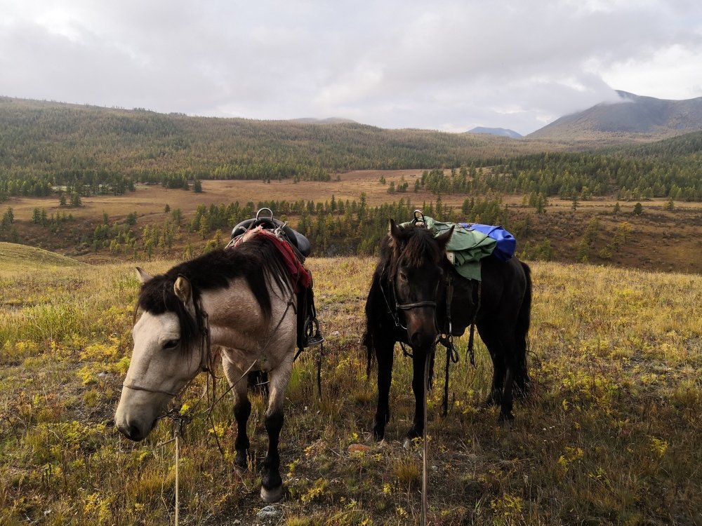 Photo #5004520