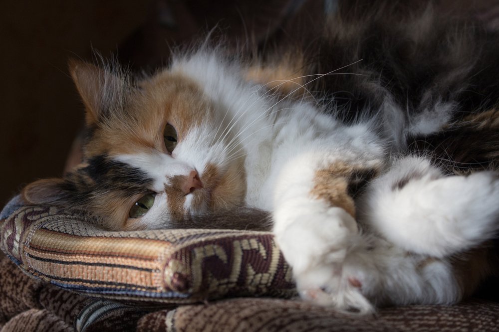 Спокойствие