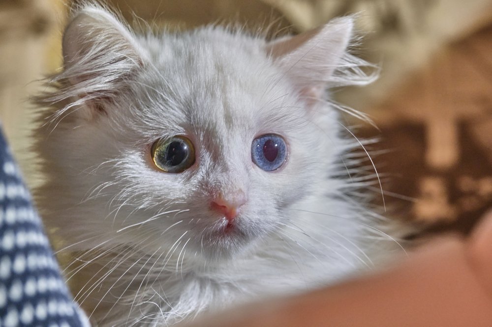 Photograph by Руслан Ибрагимов