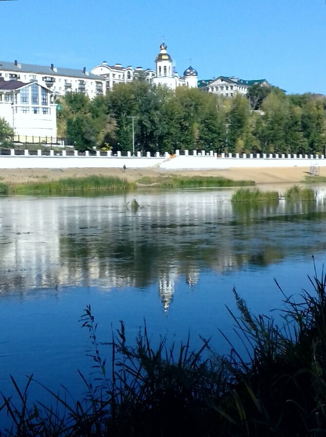 Photo #5004581