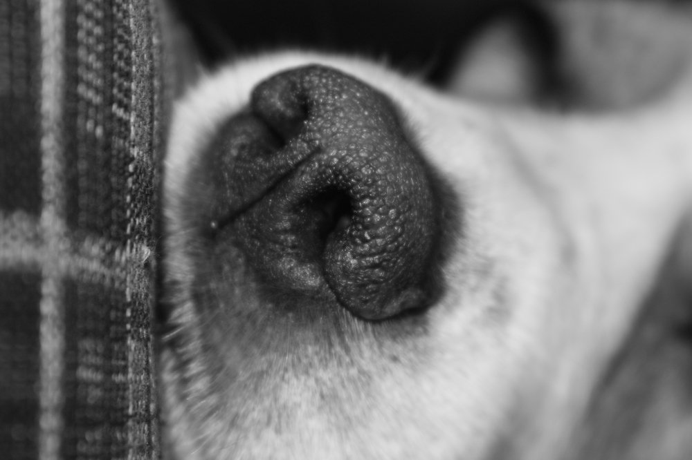 Photograph by Мария