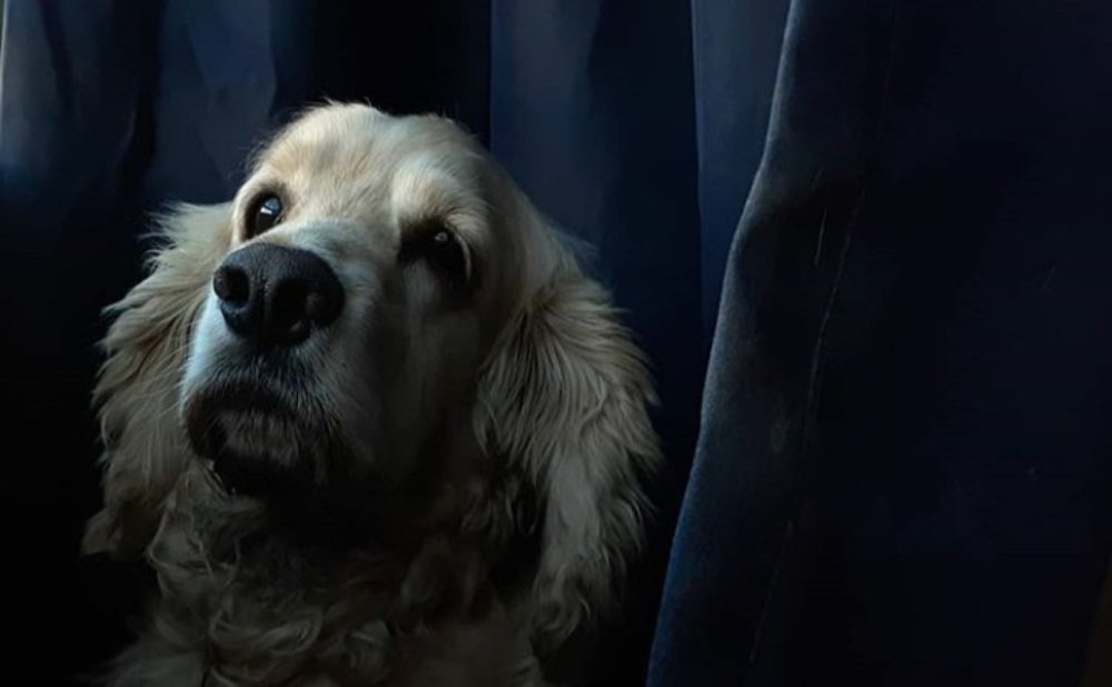 Photograph by William Rafael