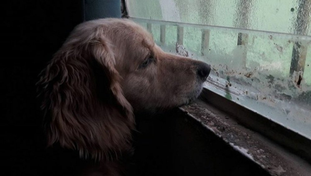 Photograph by William Rafael