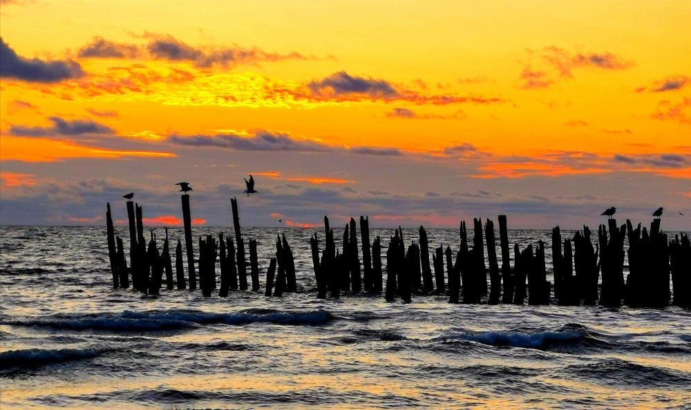 Фотография автора Павел Барский