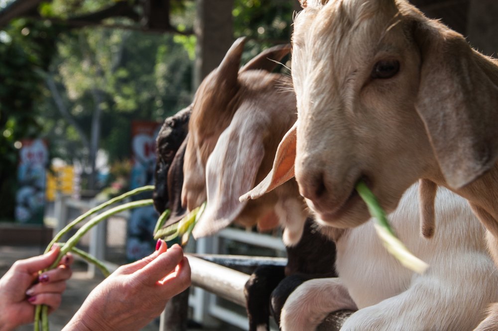 Photograph by Мария