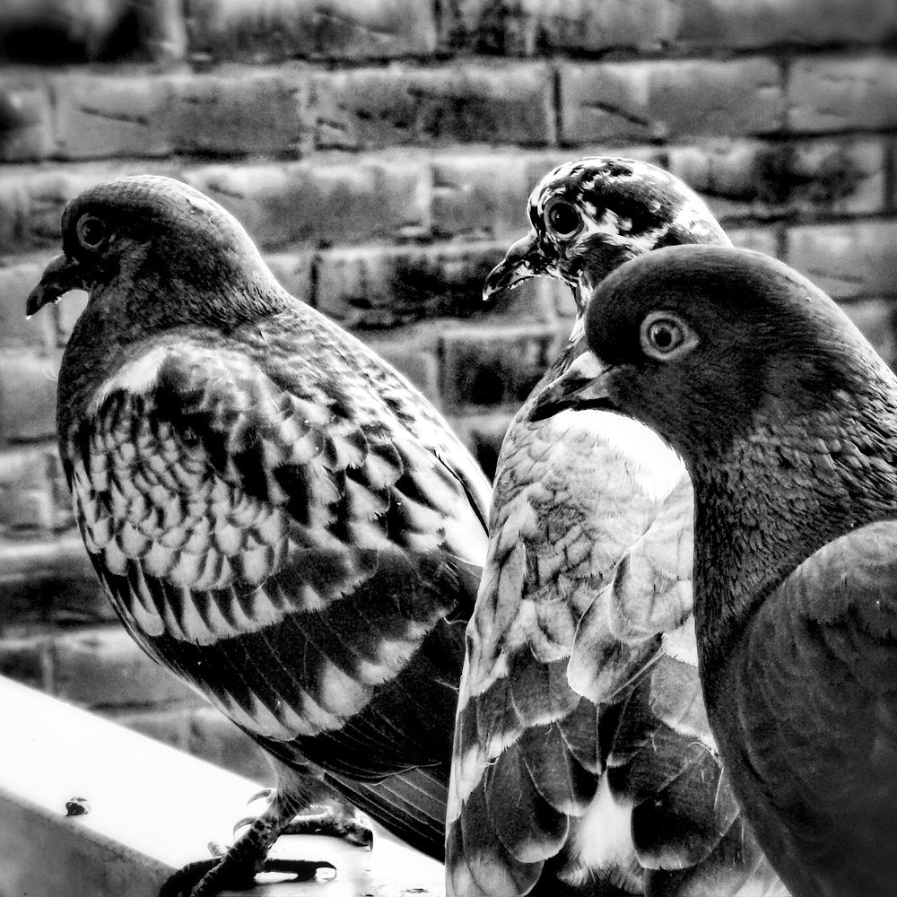 Фотография автора Павел Барский