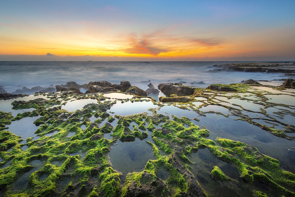 Photograph by Ngoc Vu Bao