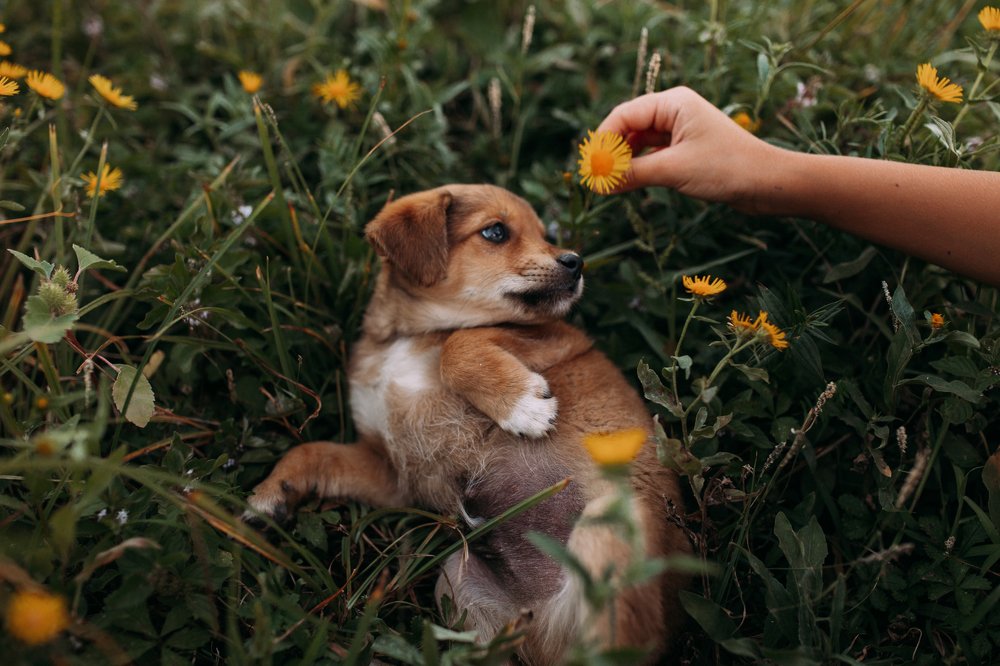 Photograph by Алеся Бутакова